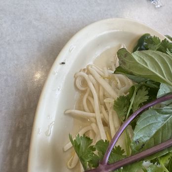 Pho Tay Do - A baby roach decided to join us for dinner - Vietnamese Near Me - San Jose, California Pho Tay Do - A baby roach decided to join us for dinner - Vietnamese Near Me - San Jose, California