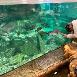 Bass Pro Shops - Showing the puppy the fish