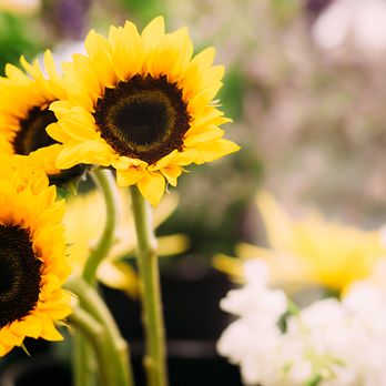 Edgewood Flowers - Florists Near Me - Orlando, Florida Edgewood Flowers - Florists Near Me - Orlando, Florida
