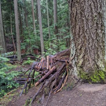 Pine Ridge Park - Parks Near Me - Edmonds, Washington