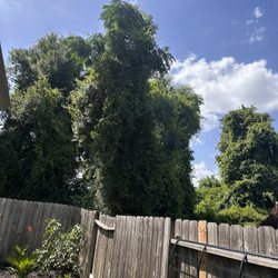 V Ortiz Tree Service