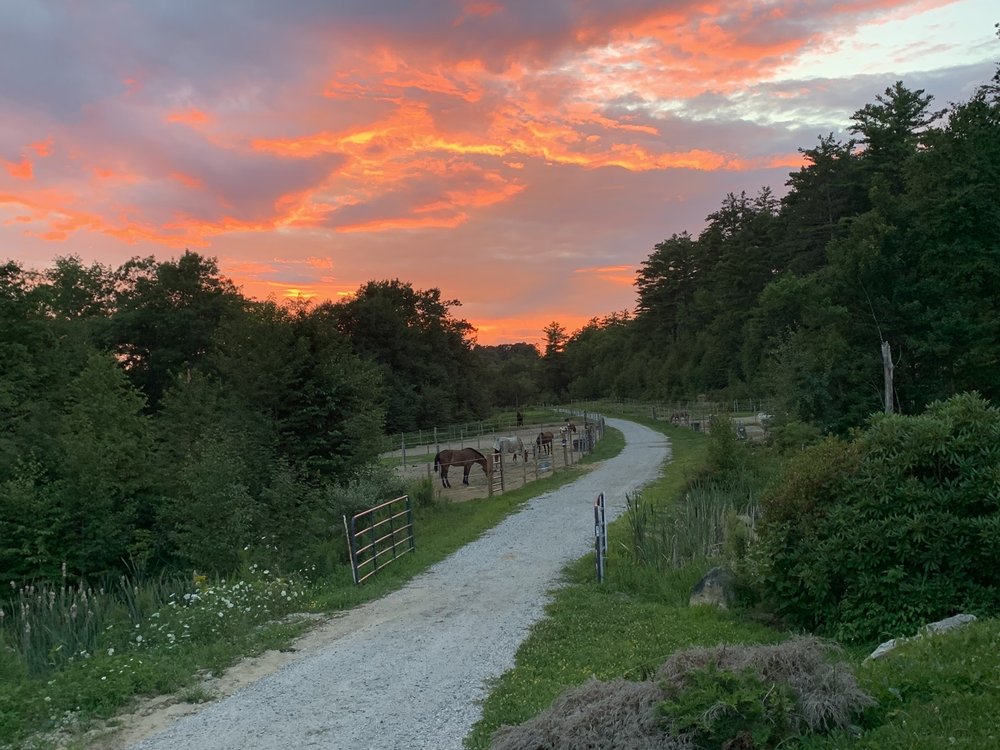 ARROWHEAD STABLES Request Information 12 Photos 40 Dunbarton