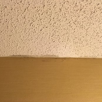 Courtyard by Marriott Virginia Beach Oceanfront/South - This is a small sample of the mold the lined the entire room - Hotels Near Me - Virginia Beach, Virginia Courtyard by Marriott Virginia Beach Oceanfront/South - This is a small sample of the mold the lined the entire room - Hotels Near Me - Virginia Beach, Virginia