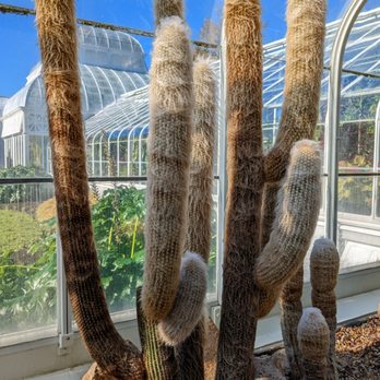 Volunteer Park Conservatory - Parks Near Me - Seattle, Washington Volunteer Park Conservatory - Parks Near Me - Seattle, Washington