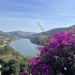 Compass Rose Travel - Douro Valley