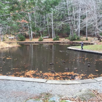 Hemlock Ravine Park - Heart shaped pond - Hiking Near Me - Halifax, Nova Scotia