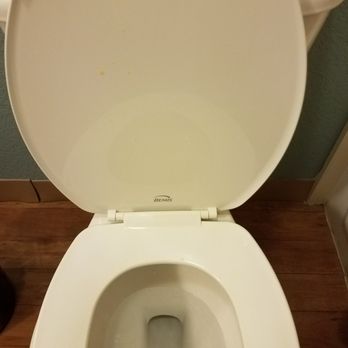 La Quinta by Wyndham Schertz - Dirty toilet - Hotels Near Me - Schertz, Texas La Quinta by Wyndham Schertz - Dirty toilet - Hotels Near Me - Schertz, Texas
