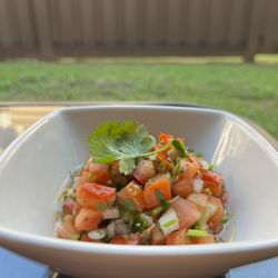 Barbazole - PICO DE GALLO