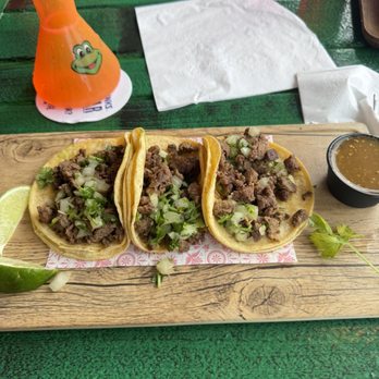 Senor Frog's - tacos - Mexican Near Me - Pensacola Beach, Florida Senor Frog's - tacos - Mexican Near Me - Pensacola Beach, Florida