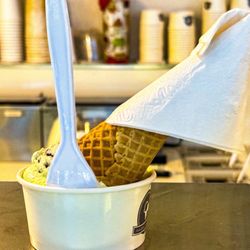 Sundaes and Cones - Scoop of mint chocolate chip ice cream in a cup with a cone. Ice cream freshness ftw