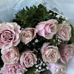 Magic Roses LA - 11 roses $$$