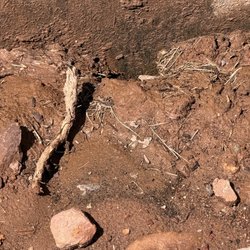 Tanks Be Gone - sink hole forming at contact between soil and foundation of house