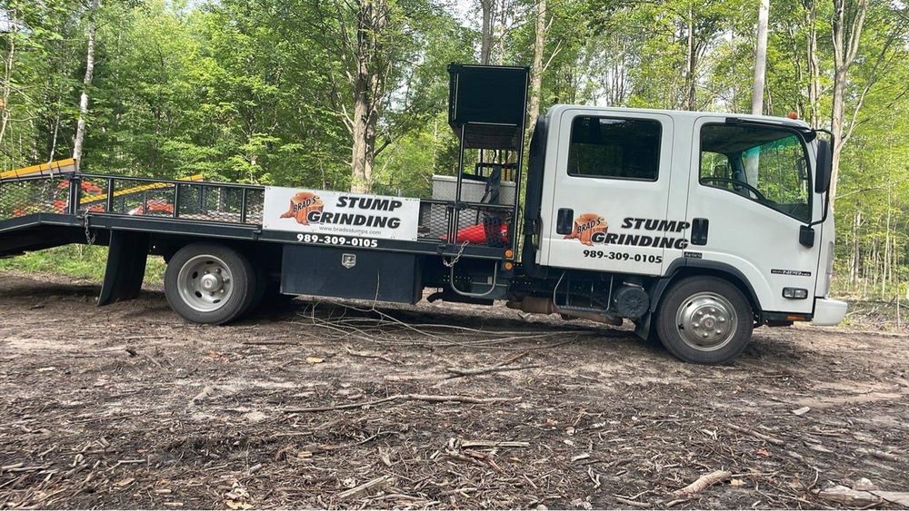 BRAD’S STUMP GRINDING 5661 S Crawford Rd, Mt Pleasant, Michigan