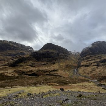 The Hairy Coo - Tours Near Me - Edinburgh, EDH