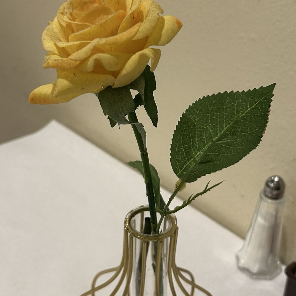 Cleopatra - Fresh flower - Mediterranean Near Me - Harvey, Louisiana Cleopatra - Fresh flower - Mediterranean Near Me - Harvey, Louisiana