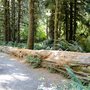 Camp Hayden