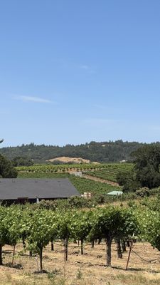 Papapietro Perry Winery by null