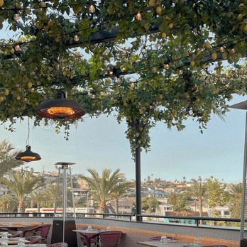 Truly Pizza - Pizza Near Me - Dana Point, California Truly Pizza - Pizza Near Me - Dana Point, California