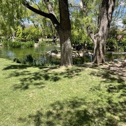 Nedra Matteucci Galleries - The garden behind the gallery