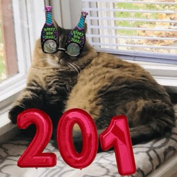 Victor's - Missy Pussy 2019 - New American Near Me - Provincetown, Massachusetts Victor's - Missy Pussy 2019 - New American Near Me - Provincetown, Massachusetts