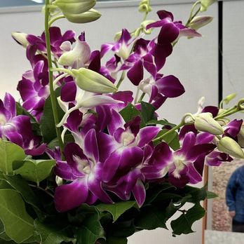 Bee's Flowers - Day 1- Beautiful bouquet delivered at my office. - Florists Near Me - San Jose, California