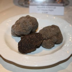 Ristorante Colosseo - Schwarze Trüffel, vorne im Anschnitt