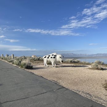 Mokwheel by Antelope E-Bikes - Bikes Near Me - St. George, Utah