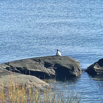 Cove Island Park - Parks Near Me - Stamford, Connecticut