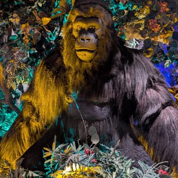 Rainforest Cafe - American Near Me - San Antonio, Texas