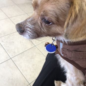 Pacific Pet Hospital - Veterinarians Near Me - Chula Vista, California Pacific Pet Hospital - Veterinarians Near Me - Chula Vista, California