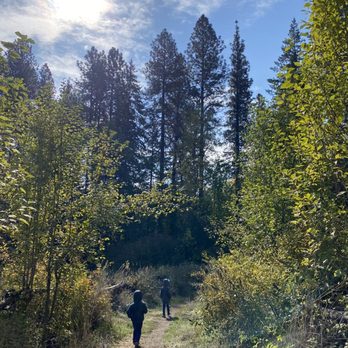 Dirksen Nature Park - Parks Near Me - Tigard, Oregon Dirksen Nature Park - Parks Near Me - Tigard, Oregon