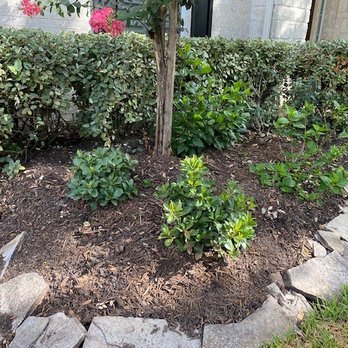 D&G Landscaping & Design - Landscaping Near Me - Houston, Texas D&G Landscaping & Design - Landscaping Near Me - Houston, Texas