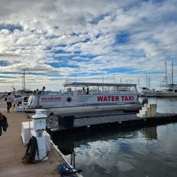 Charleston Water Taxi