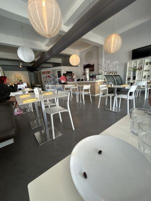 Lluvia Deli Bar & Artefacto by null