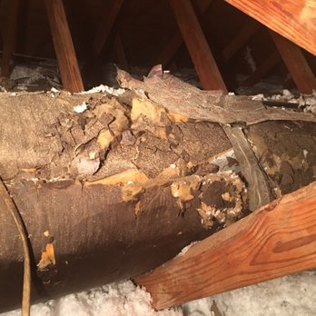 Aurora Air Inc. - 50 year old duct that was leaking - Heating & Air Conditioning/HVAC Near Me - Orlando, Florida Aurora Air Inc. - 50 year old duct that was leaking - Heating & Air Conditioning/HVAC Near Me - Orlando, Florida