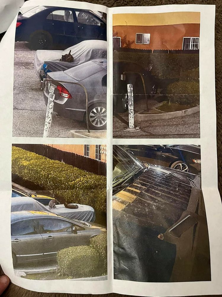 PRISTINE PROPERTY MANAGEMENT Updated October 2024 17 Reviews 9040