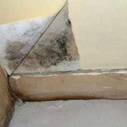 Palm Beach Ocean Front Inn - Even the wall paper struggles to stay applied due to the mold, and the aroma of the room was wonderful! check mate Febreze!