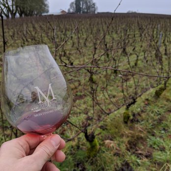 Montinore Estate - Sipping Graham's Block in Grahm's Block - Wineries Near Me - Forest Grove, Oregon Montinore Estate - Sipping Graham's Block in Grahm's Block - Wineries Near Me - Forest Grove, Oregon