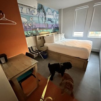 The Arts Hotel - Hotel room. Everything is a square or a rectangle. Concrete floor. - Hotels Near Me - Charlottetown, Prince Edward Island
