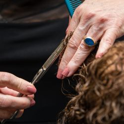 The Masters Salon