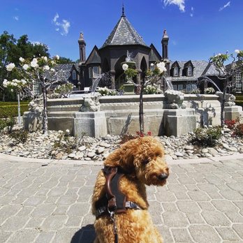 Ledson Winery & Vineyards - Posing like momma - Wineries Near Me - Kenwood, California Ledson Winery & Vineyards - Posing like momma - Wineries Near Me - Kenwood, California