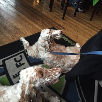 Beveridge Place Pub - Go Seahawks! - Pubs Near Me - Seattle, Washington Beveridge Place Pub - Go Seahawks! - Pubs Near Me - Seattle, Washington