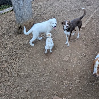 Wolf Road Pet Retreat - Pet Training Near Me - Grass Valley, California Wolf Road Pet Retreat - Pet Training Near Me - Grass Valley, California