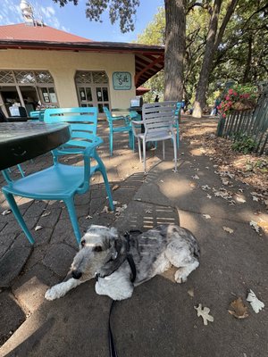 4801 S Minnehaha Dr by null