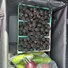 Blackberries, cucumbers and red onions Blackberries, cucumbers and red onions