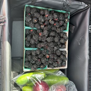 Sun Strawberry - Blackberries, cucumbers and red onions - Fruits & Veggies Near Me - Elk Grove, California Sun Strawberry - Blackberries, cucumbers and red onions - Fruits & Veggies Near Me - Elk Grove, California