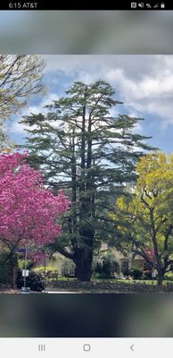 Tree Service - ER Landscape specializes in commercial landscaping throughout Los Angeles County. We make sure our customer is 100% satisfied. We pride ourselves in getting the job done quickly and efficiently while always keeping our customer in mind. Tree Trimming and Tree Removal, Landscape Maintenance, Irrigation System and Drip System. Tree Service - ER Landscape specializes in commercial landscaping throughout Los Angeles County. We make sure our customer is 100% satisfied. We pride ourselves in getting the job done quickly and efficiently while always keeping our customer in mind. Tree Trimming and Tree Removal, Landscape Maintenance, Irrigation System and Drip System.