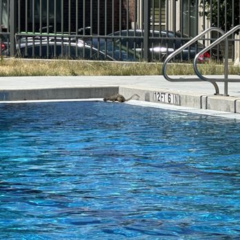 La Alma Recreation Center - Super fun very nice and attentive staff/lifeguards. - Gyms Near Me - Denver, Colorado La Alma Recreation Center - Super fun very nice and attentive staff/lifeguards. - Gyms Near Me - Denver, Colorado