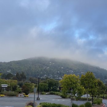 Philz Coffee - The best coffee in the Bay Area. And not a bad view. - Coffee & Tea Near Me - Corte Madera, California Philz Coffee - The best coffee in the Bay Area. And not a bad view. - Coffee & Tea Near Me - Corte Madera, California