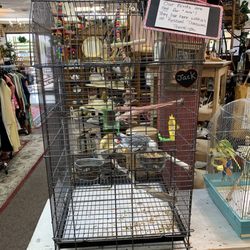 Rescued Treasures Charity Boutique - Jack